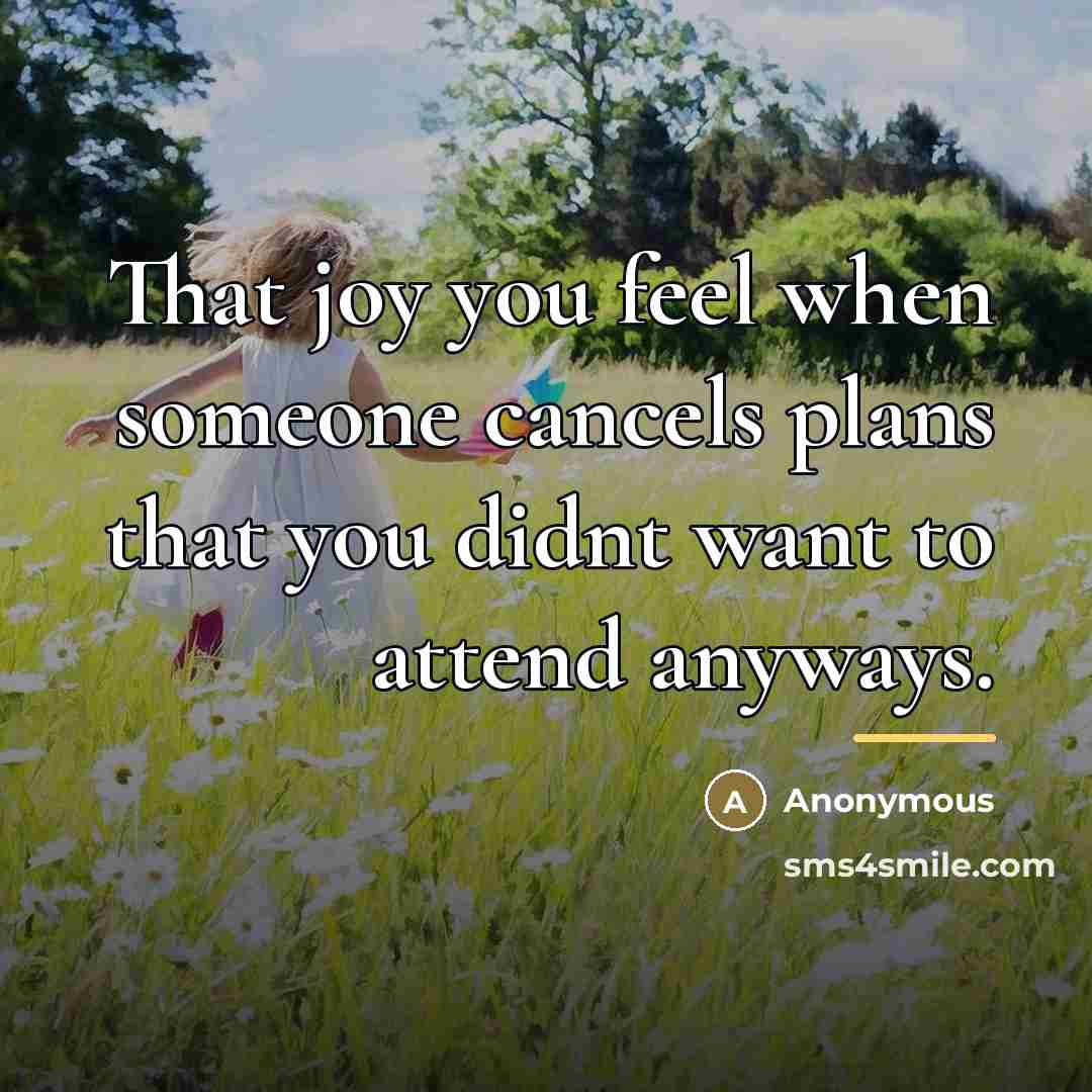 “That joy you feel when someone cancels plans that you…” quote by Anonymous