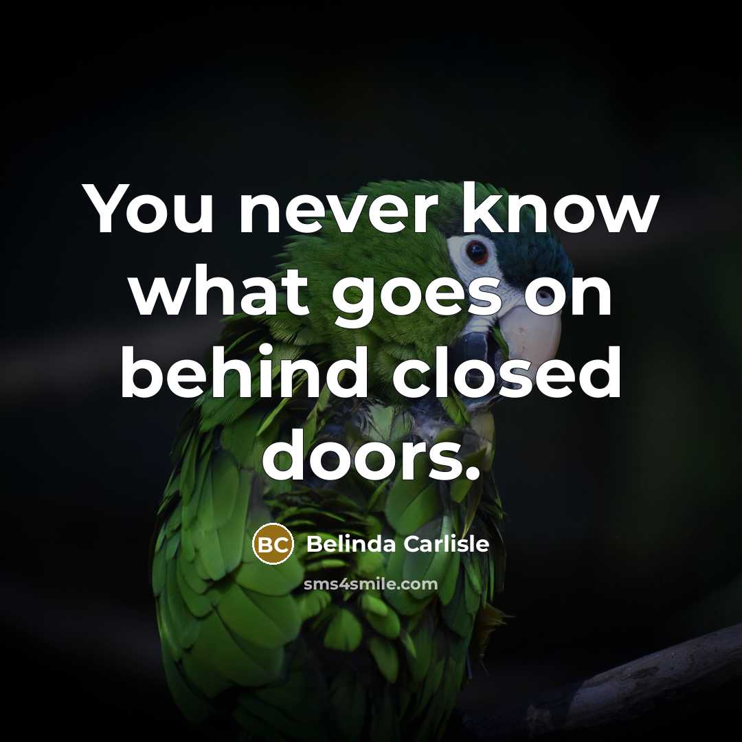 “You never know what goes on behind closed doors.…” quote by Belinda Carlisle