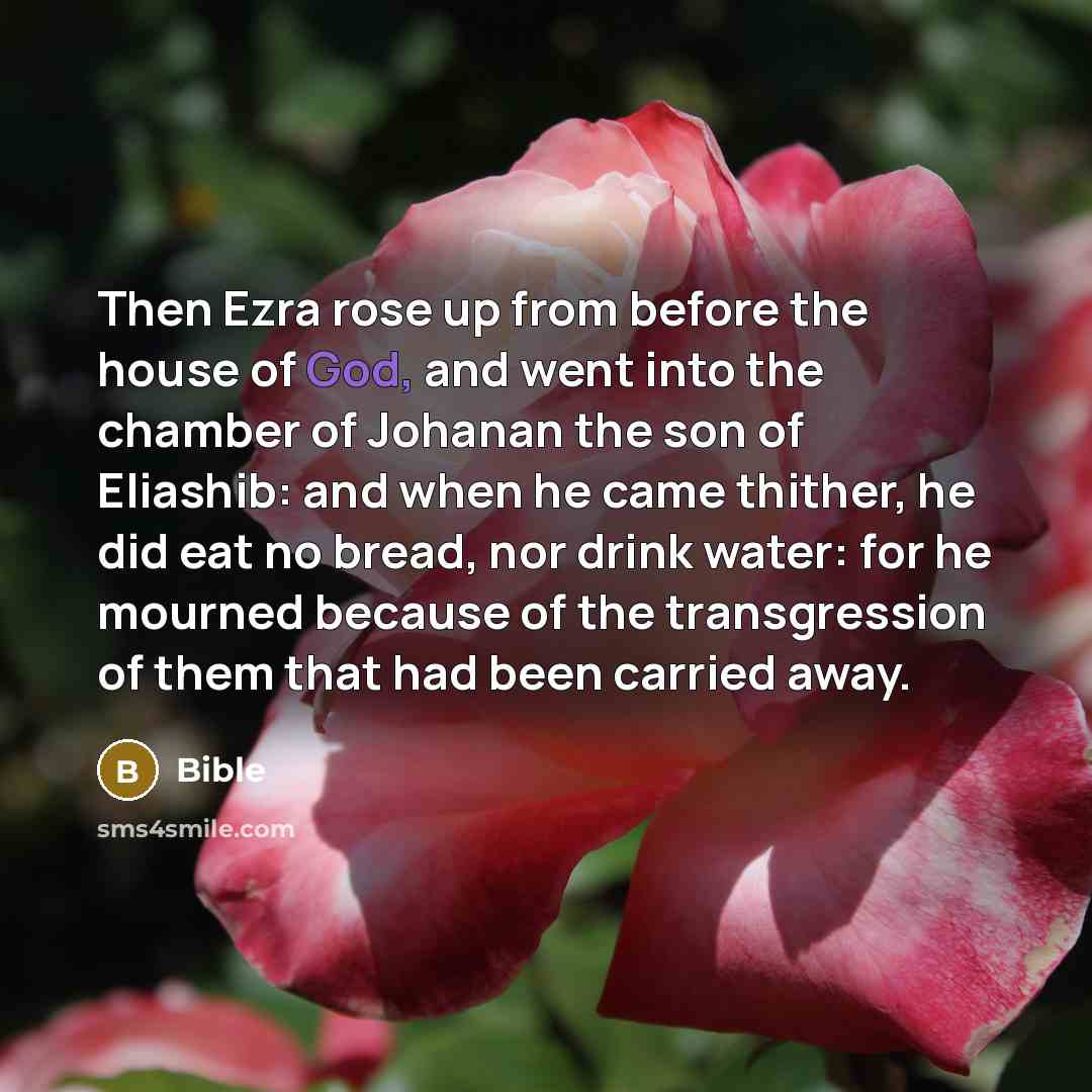 “Then Ezra rose up from before the house of God,…” quote by Bible