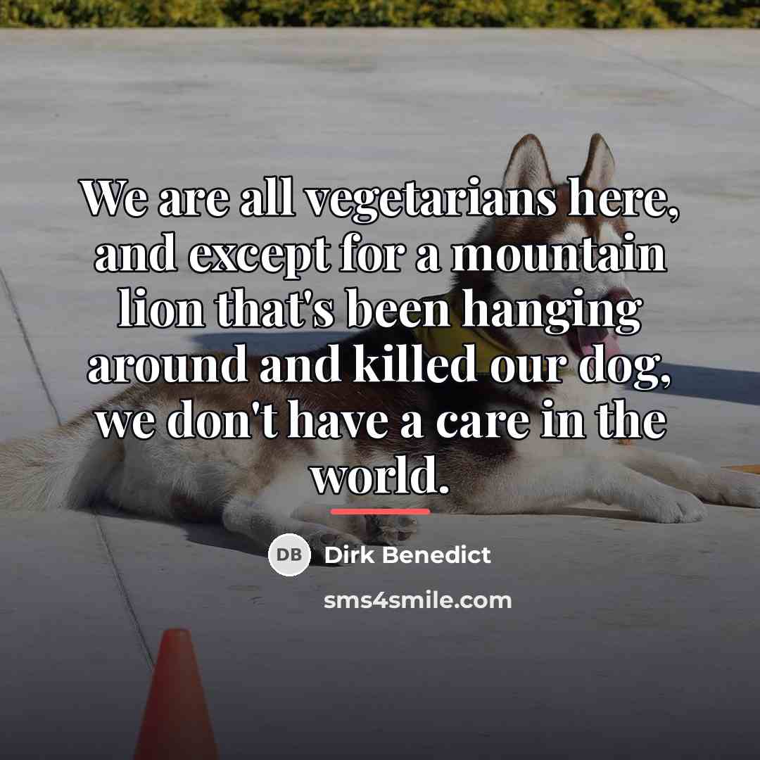 “We are all vegetarians here, and except for a mountain…” quote by Dirk Benedict