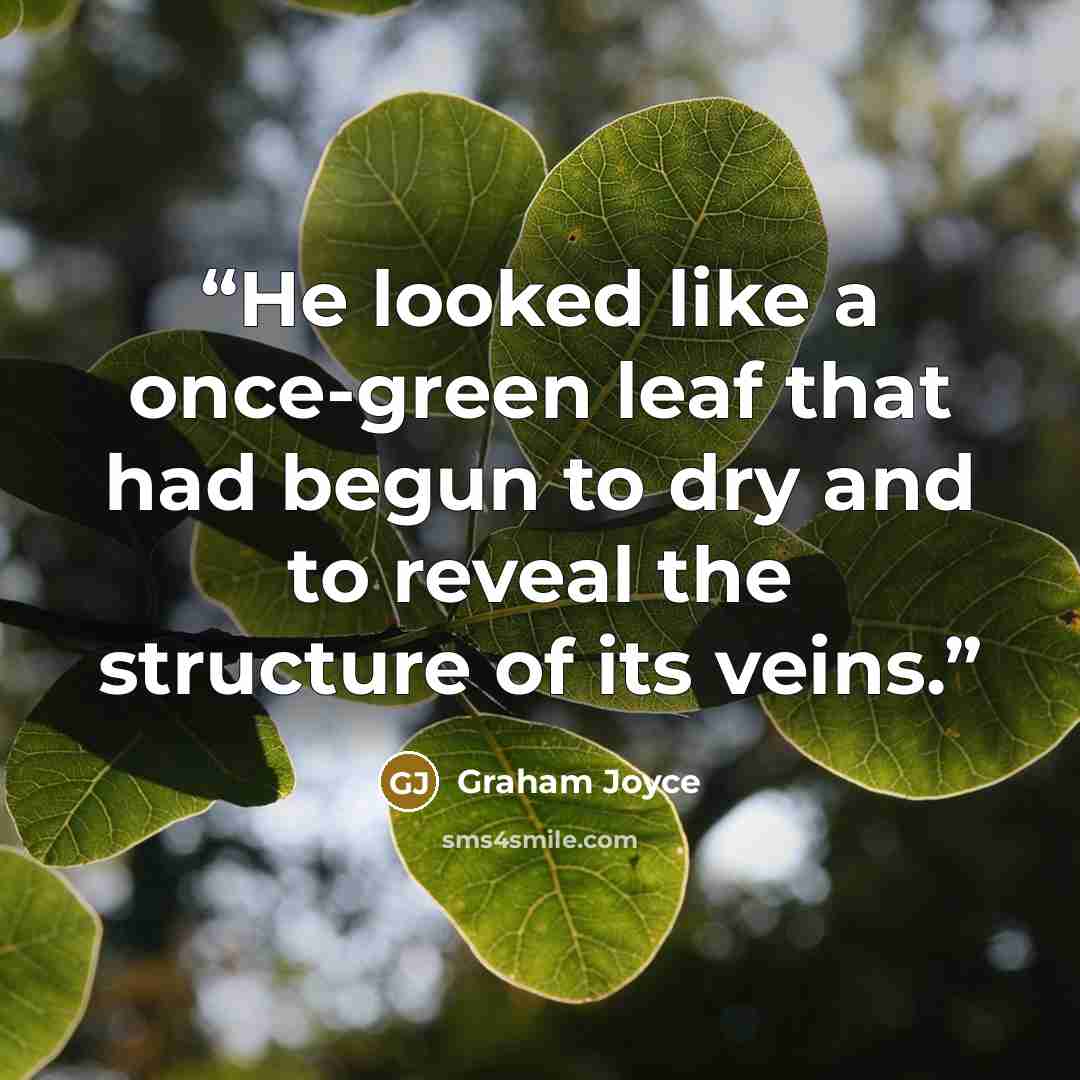 “He looked like a once-green leaf that had begun to dry and to reveal the structure of its veins.” quote by Graham Joyce
