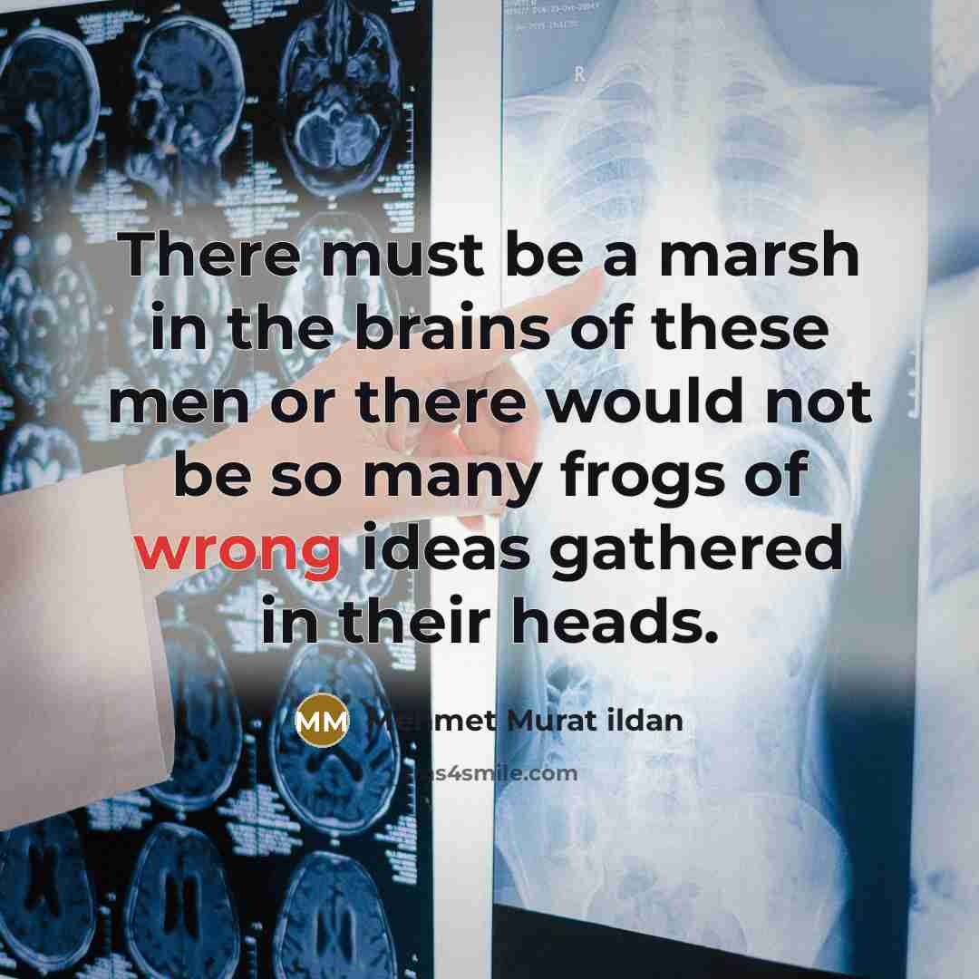 “There must be a marsh in the brains of these…” quote by Mehmet Murat Ildan