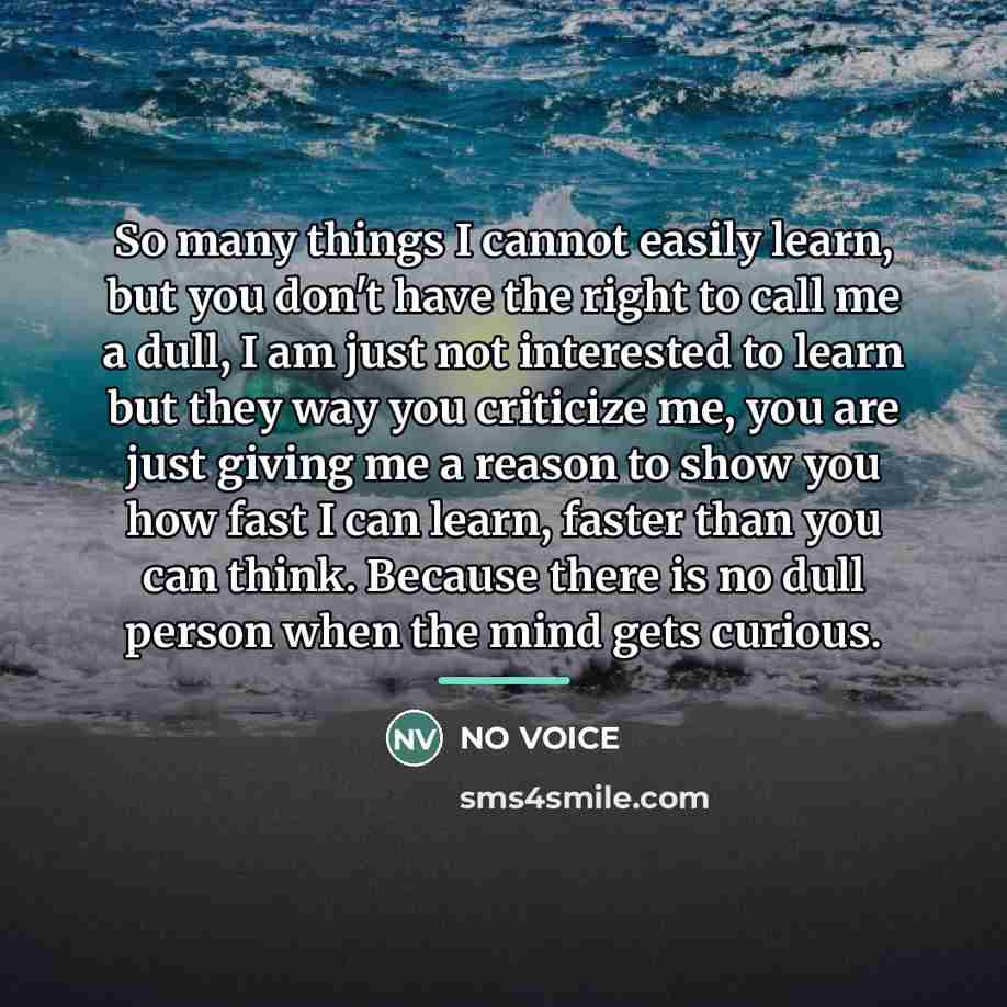 “So many things I cannot easily learn, but you don't…” quote by NO VOICE