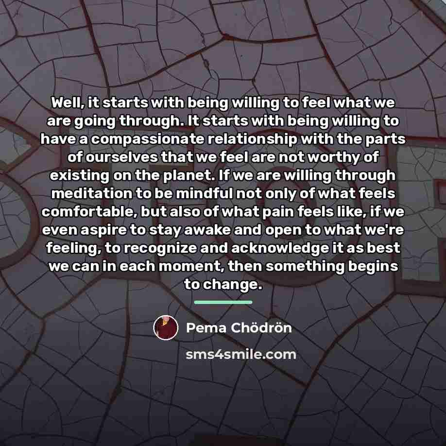 “Well, it starts with being willing to feel what we…” quote by Pema Chodron
