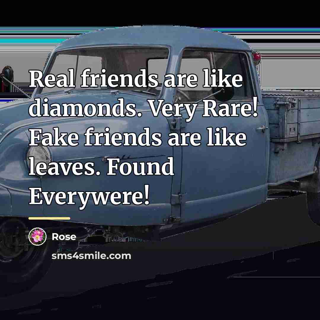 “Real friends are like diamonds. Very Rare! Fake friends are…” quote by Rose
