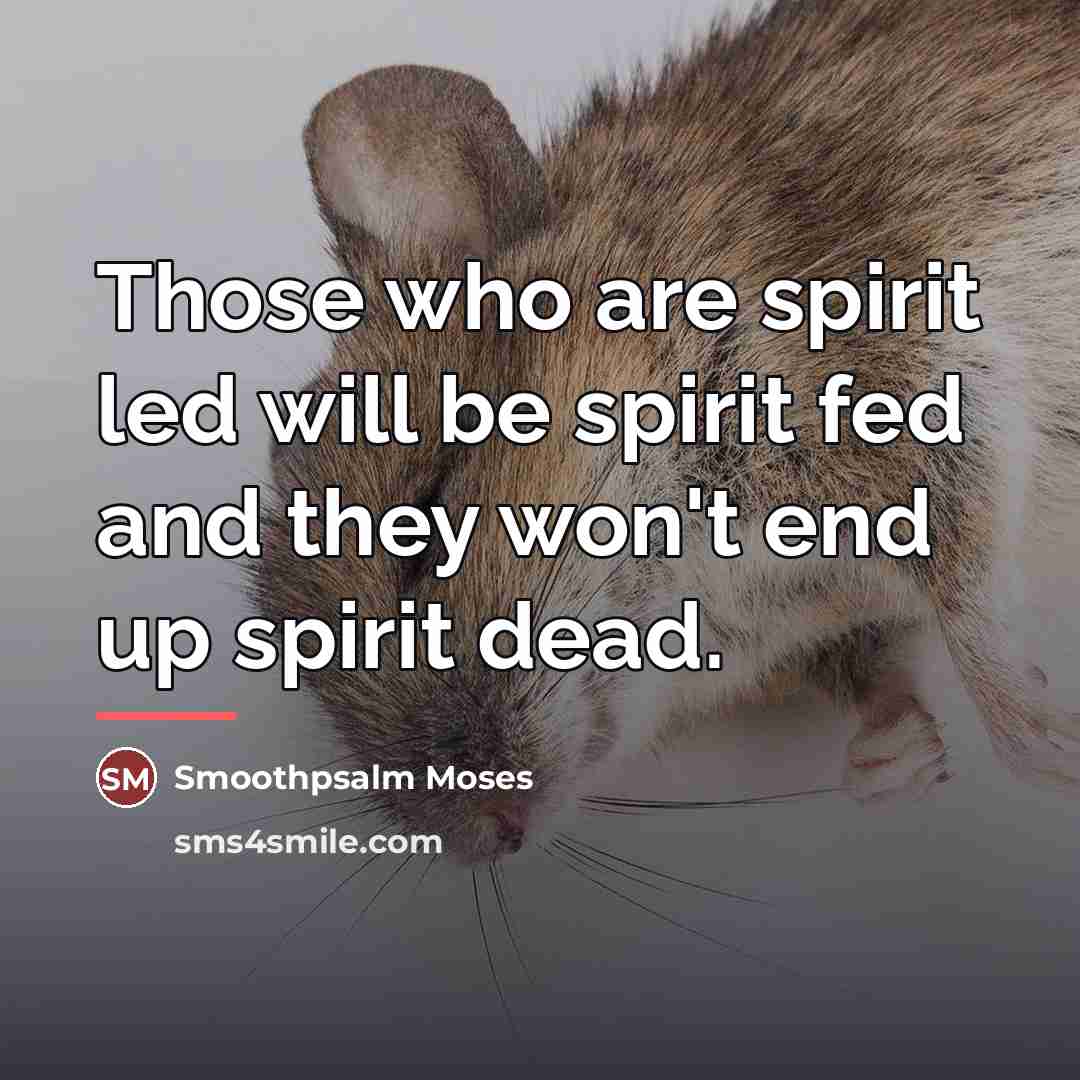 “Those who are spirit led will be spirit fed and…” quote by Smoothpsalm Moses