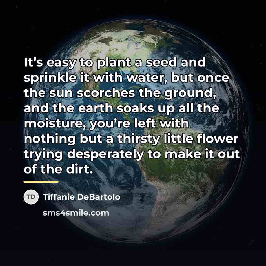 “It’s easy to plant a seed and sprinkle it with…” quote by Tiffanie DeBartolo