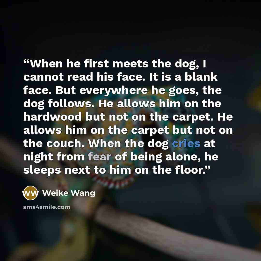 “When he first meets the dog, I cannot read his face. It is a blank face. But everywhere he goes, the dog follows. He allows him on the hardwood but not on the carpet. He allows him on the carpet but not on the couch. When the dog cries at night from fear of being alone, he sleeps next to him on…” quote by Weike Wang
