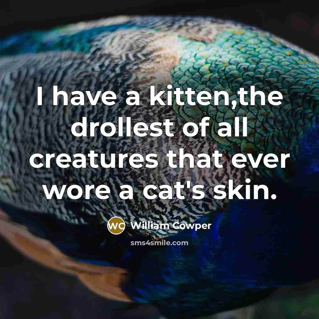 “I have a kitten,the drollest of all creatures that ever…” quote by William Cowper