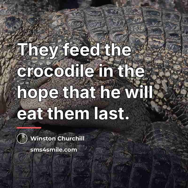 “They feed the crocodile in the hope that he will…” quote by Winston Churchill