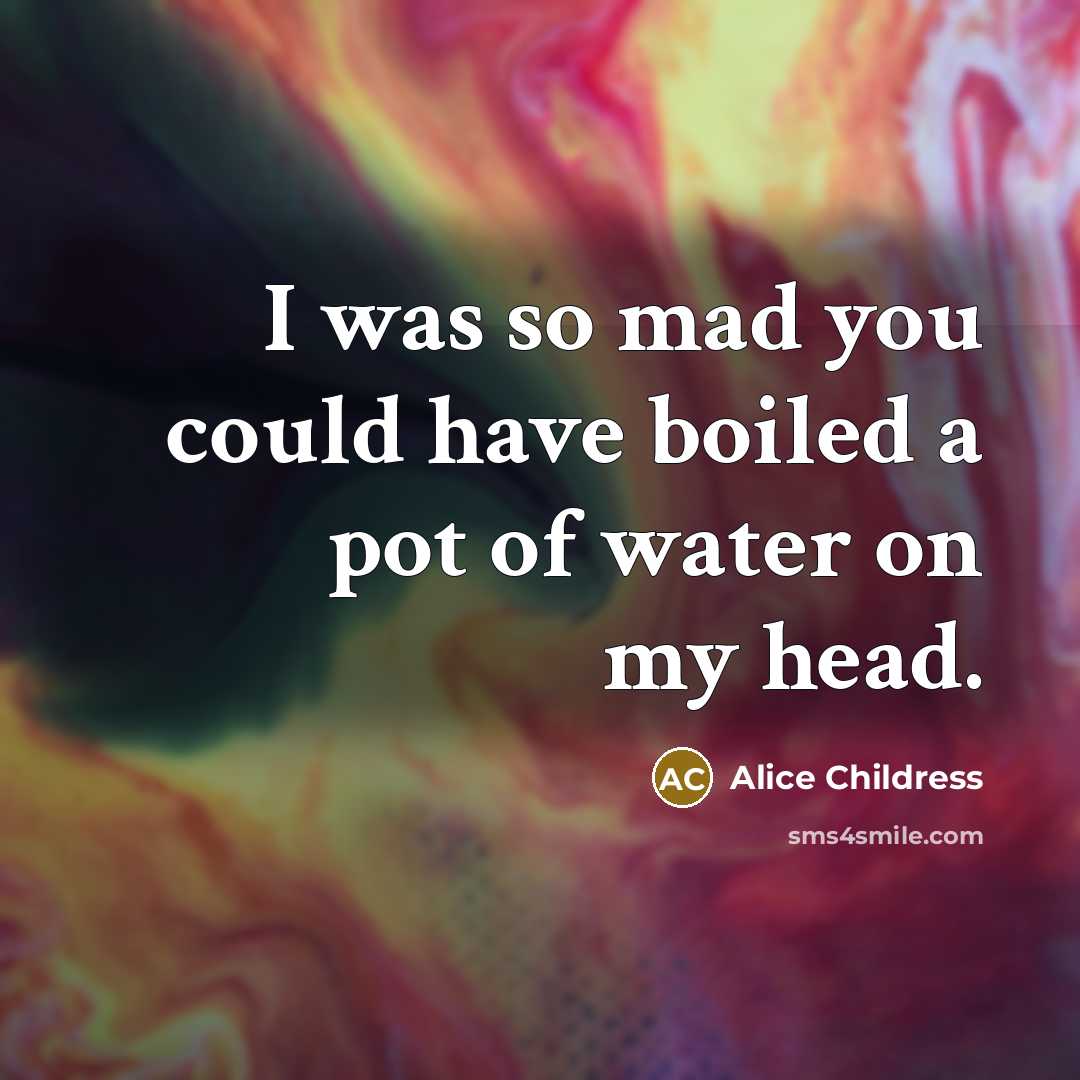 “I was so mad you could have boiled a pot…” quote by Alice Childress