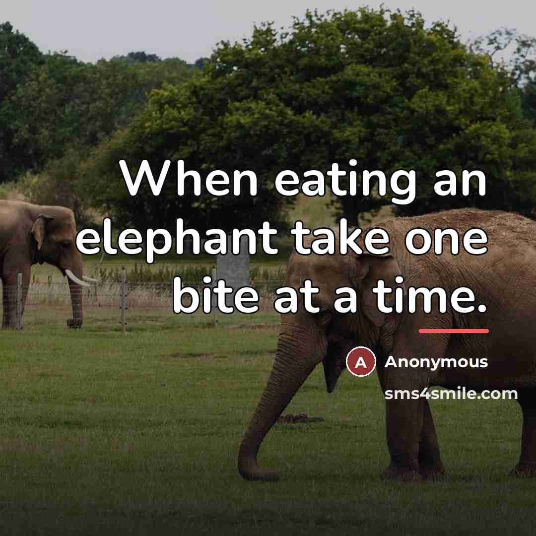 “When eating an elephant take one bite at a time.…” quote by Anonymous