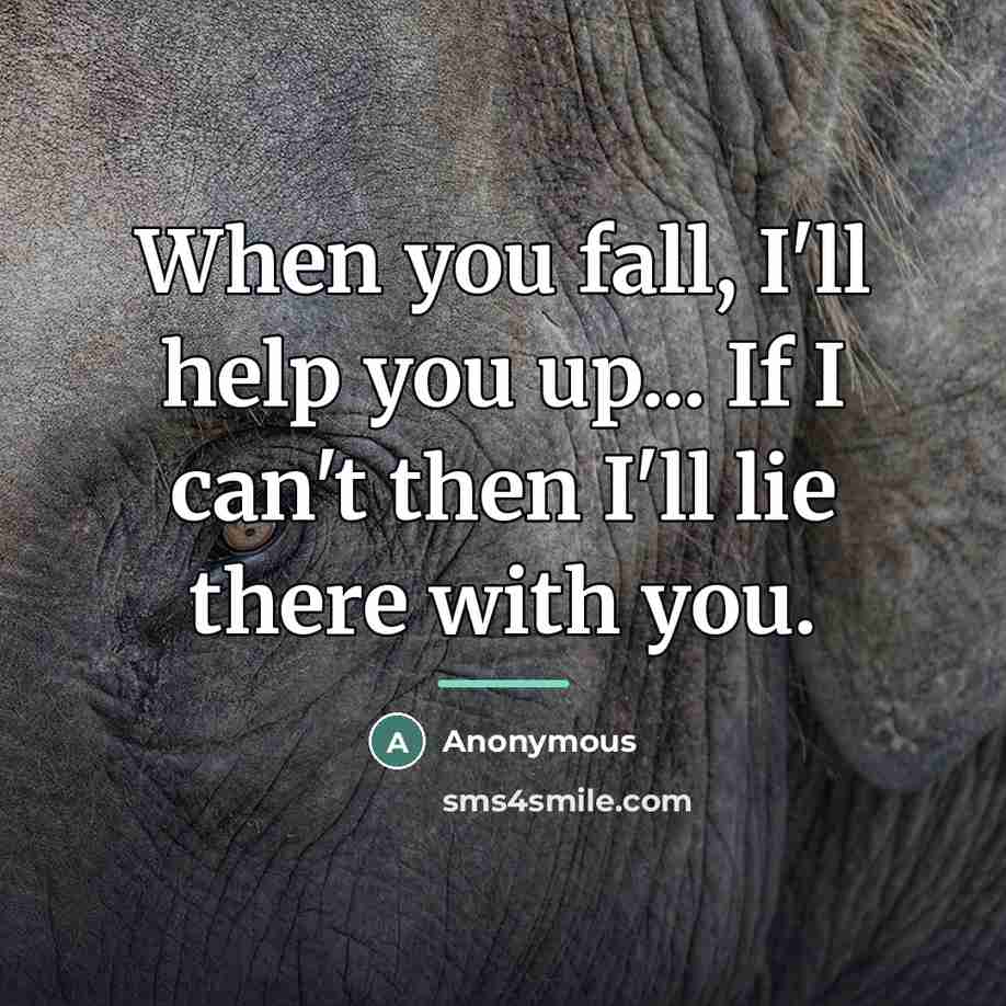 “When you fall, I'll help you up... If I can't…” quote by Anonymous