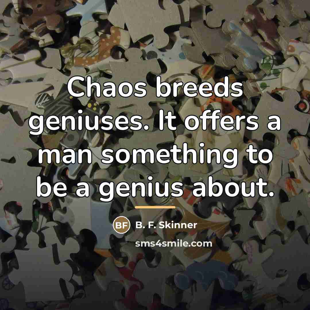 “Chaos breeds geniuses. It offers a man something to be…” quote by B. F. Skinner