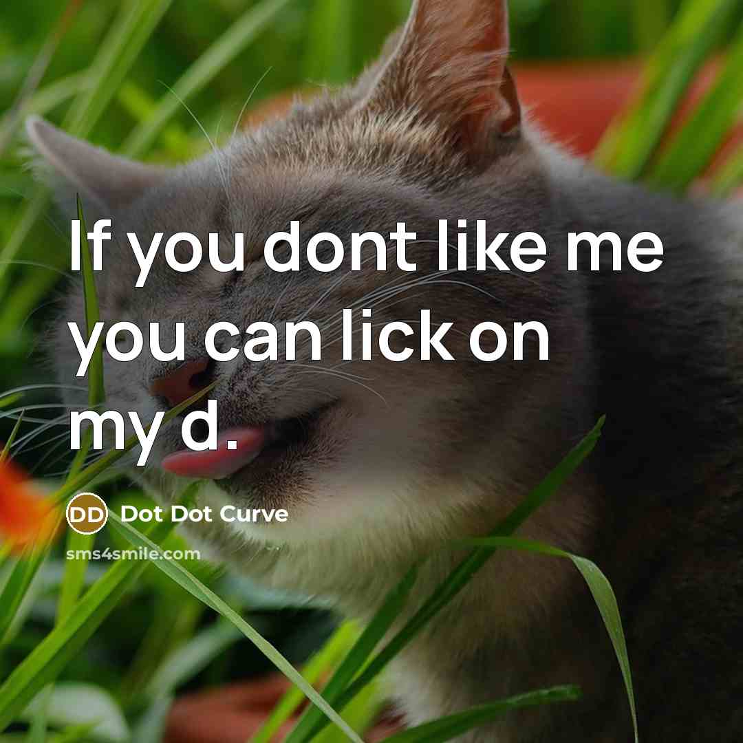 “If you dont like me you can lick on my…” quote by Dot Dot Curve