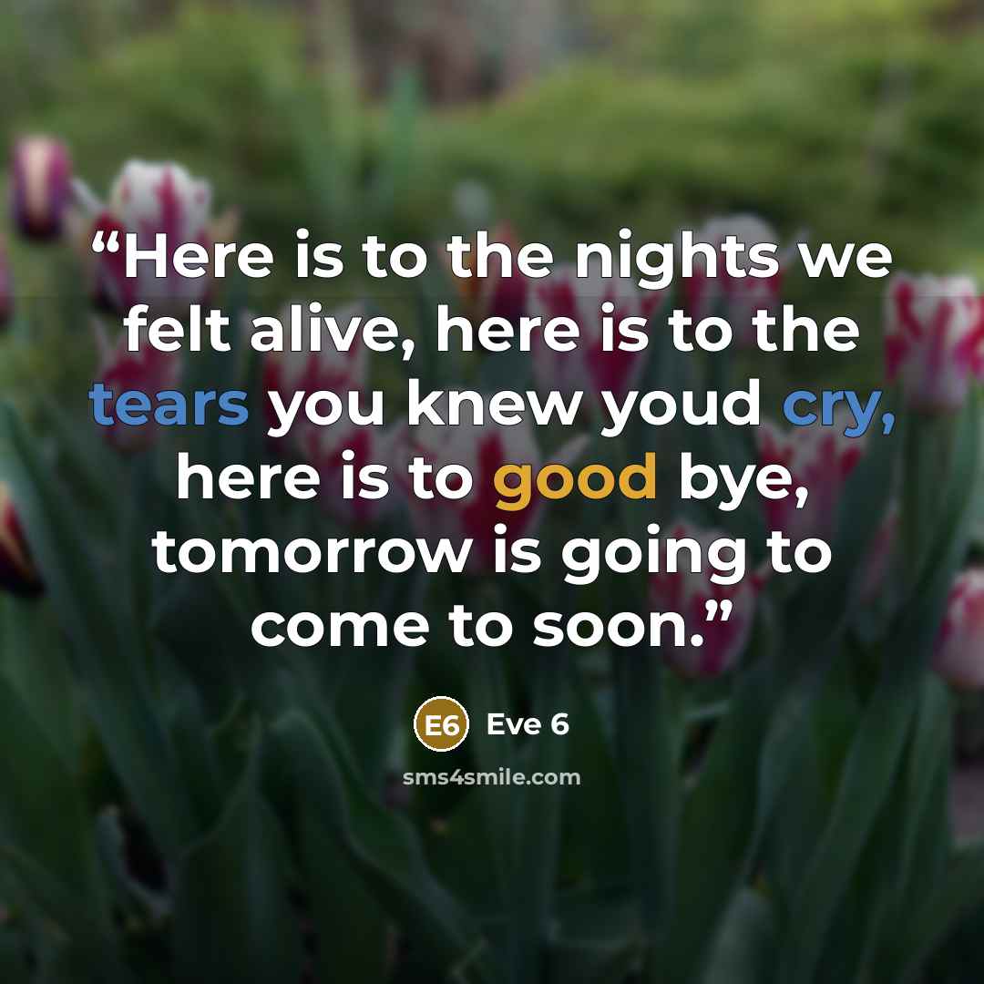 “Here is to the nights we felt alive, here is to the tears you knew youd cry, here is to good bye, tomorrow is going to come to soon.” quote by Eve 6