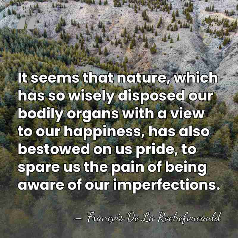 It seems that nature, which has so wisely disposed our bodily organs&hellip; - Francois de La Rochefoucauld