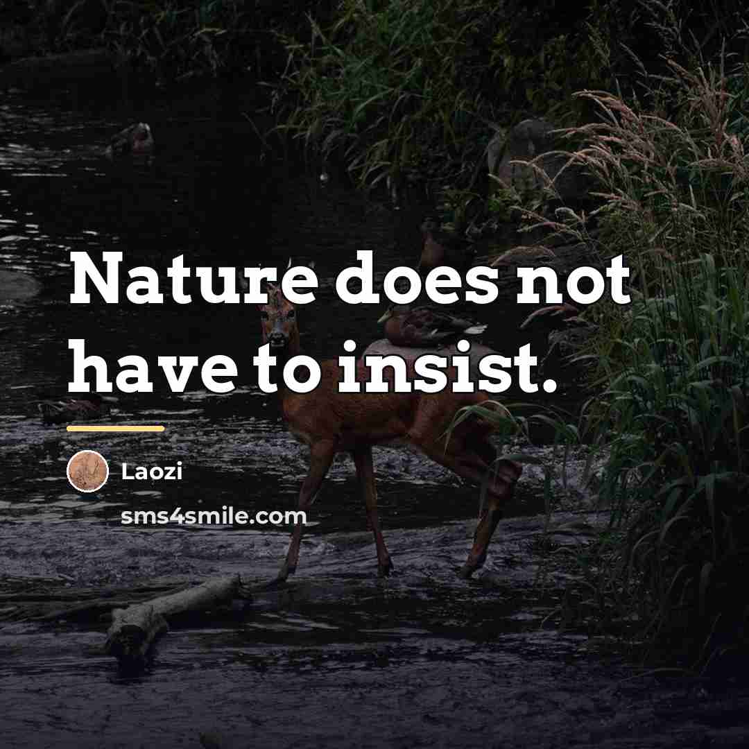 “Nature does not have to insist.…” quote by Laozi
