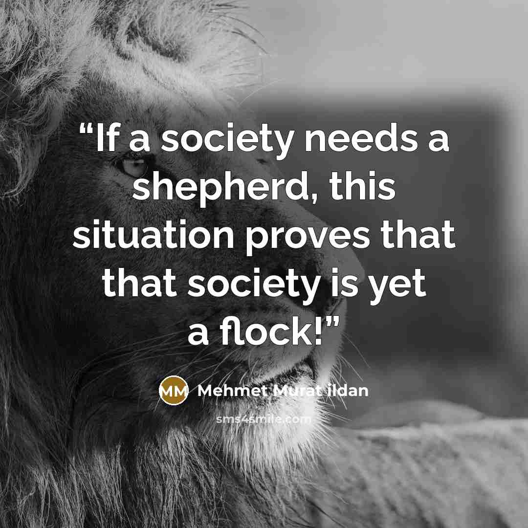“If a society needs a shepherd, this situation proves that that society is yet a flock!” quote by Mehmet Murat ildan