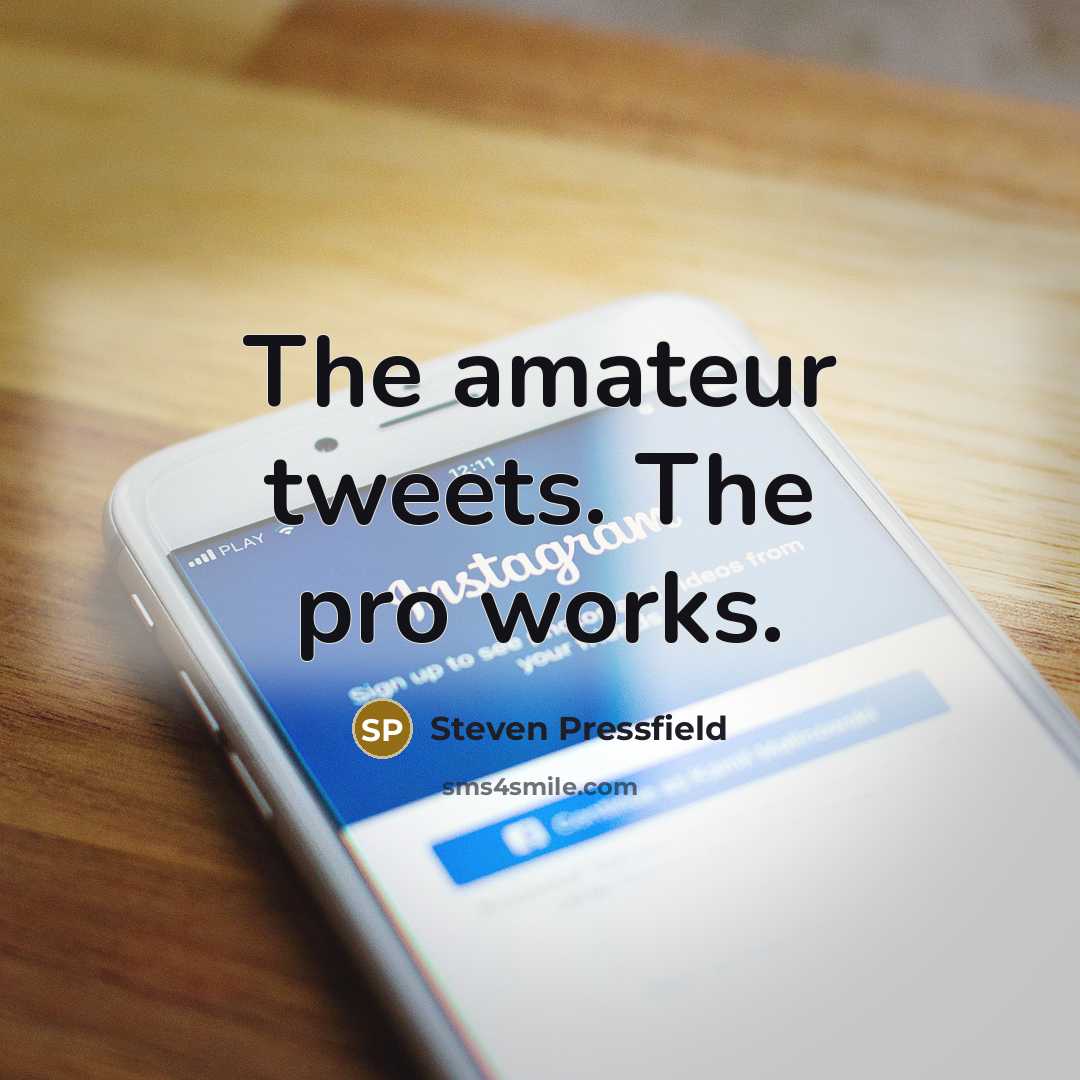 “The amateur tweets. The pro works.…” quote by Steven Pressfield