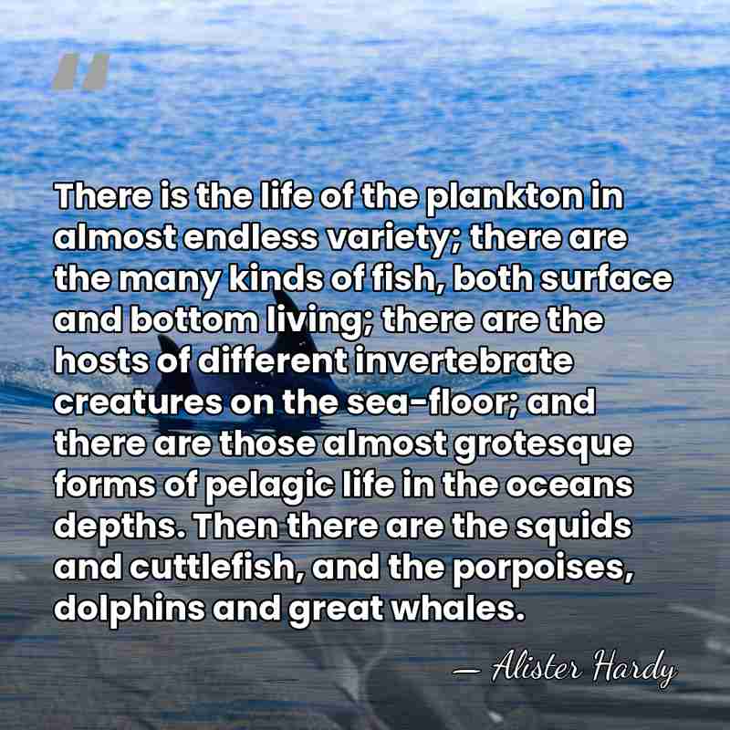 There is the life of the plankton in almost endless variety; there&hellip; - Alister Hardy