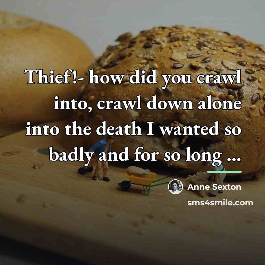 “Thief!- how did you crawl into, crawl down alone into…” quote by Anne Sexton