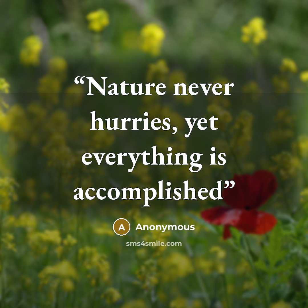 “Nature never hurries, yet everything is accomplished” quote by Anonymous