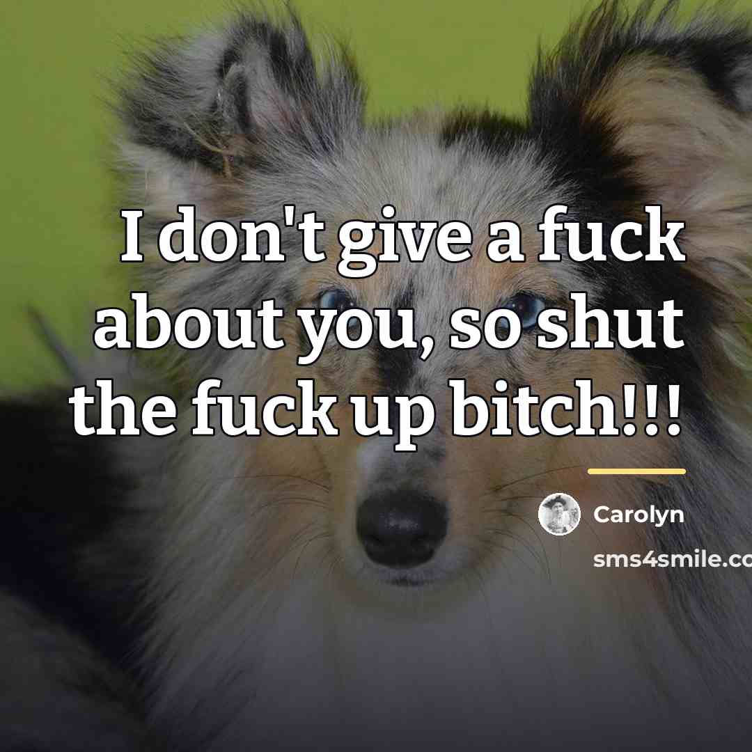 “I don't give a fuck about you, so shut the…” quote by Carolyn
