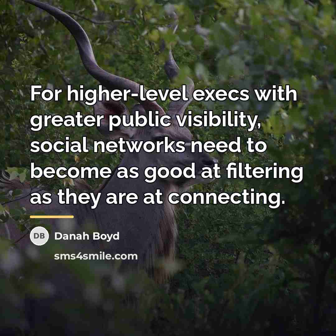 “For higher-level execs with greater public visibility, social networks need…” quote by danah boyd