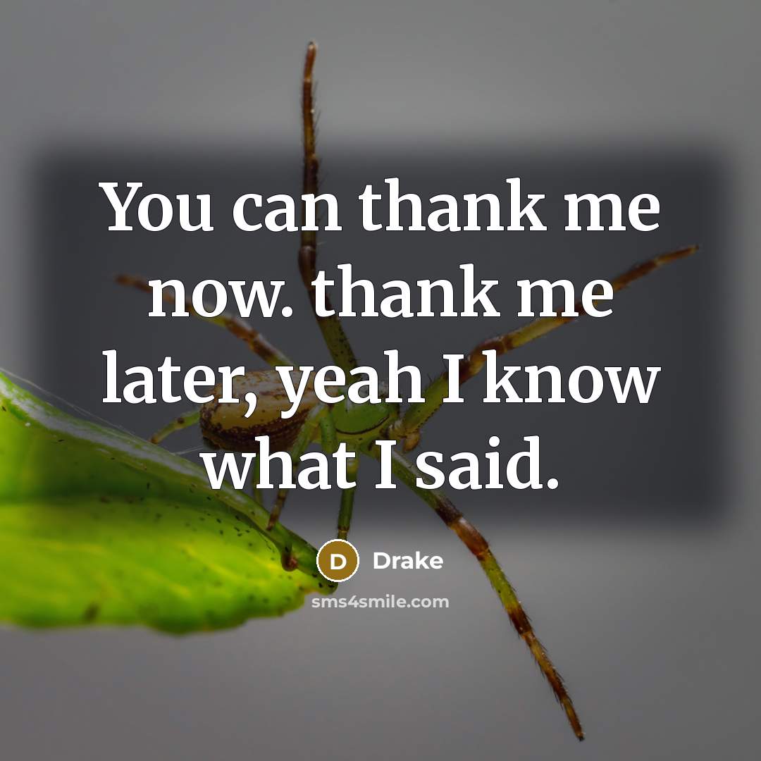“You can thank me now. thank me later, yeah I…” quote by Drake