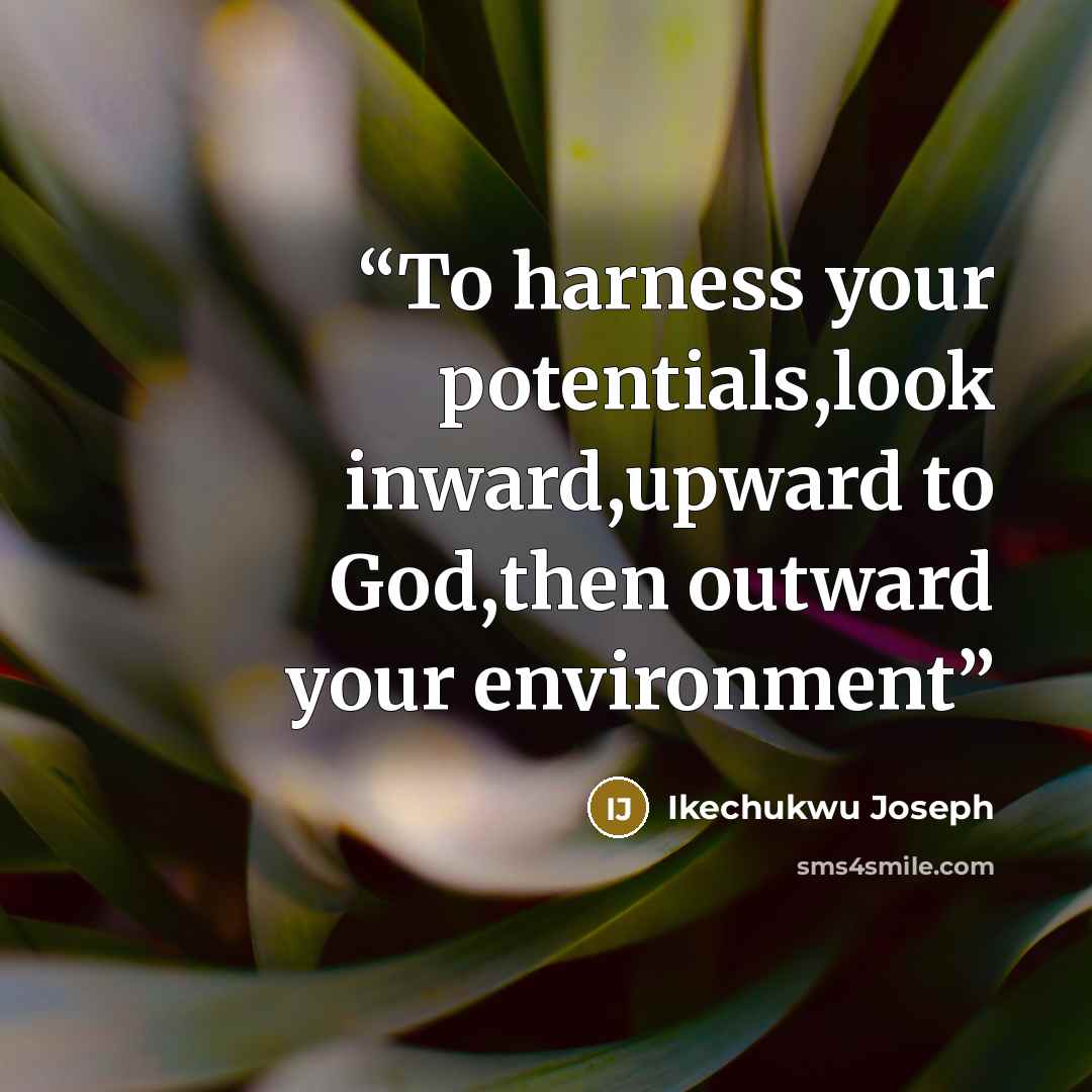 “To harness your potentials,look inward,upward to God,then outward your environment” quote by Ikechukwu Joseph