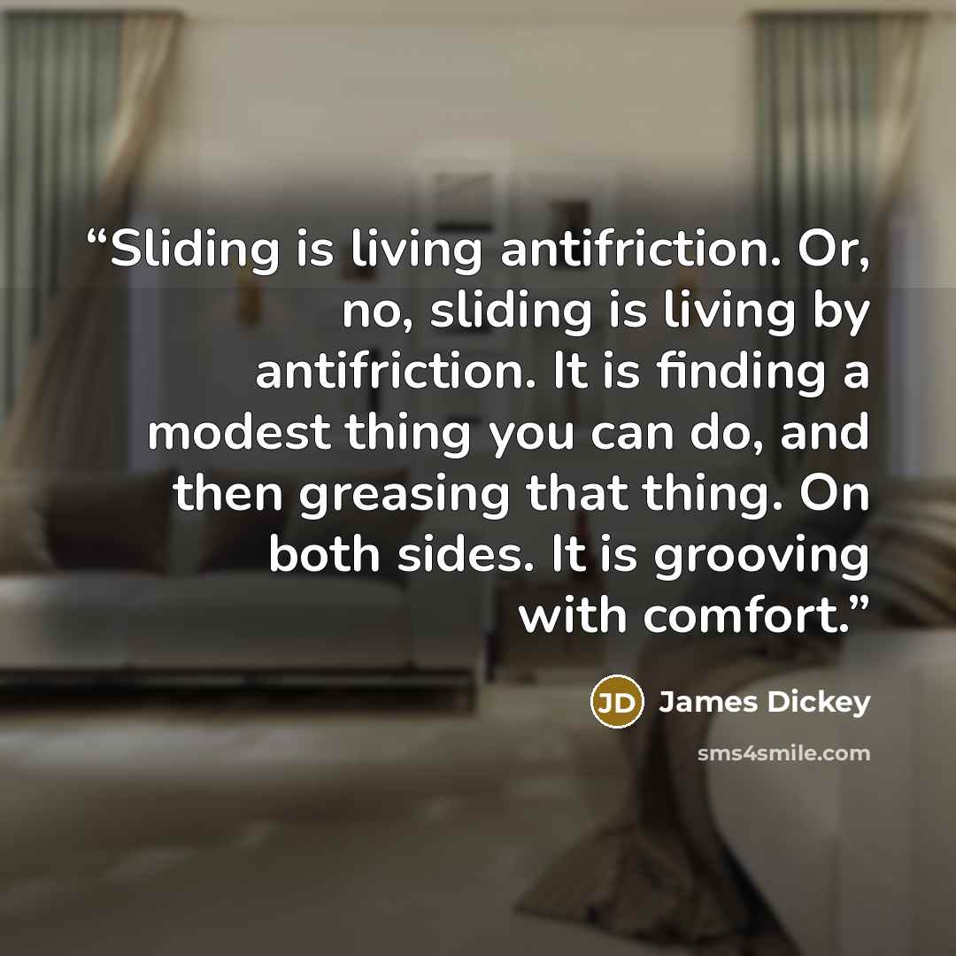 “Sliding is living antifriction. Or, no, sliding is living by antifriction. It is finding a modest thing you can do, and then greasing that thing. On both sides. It is grooving with comfort.” quote by James Dickey