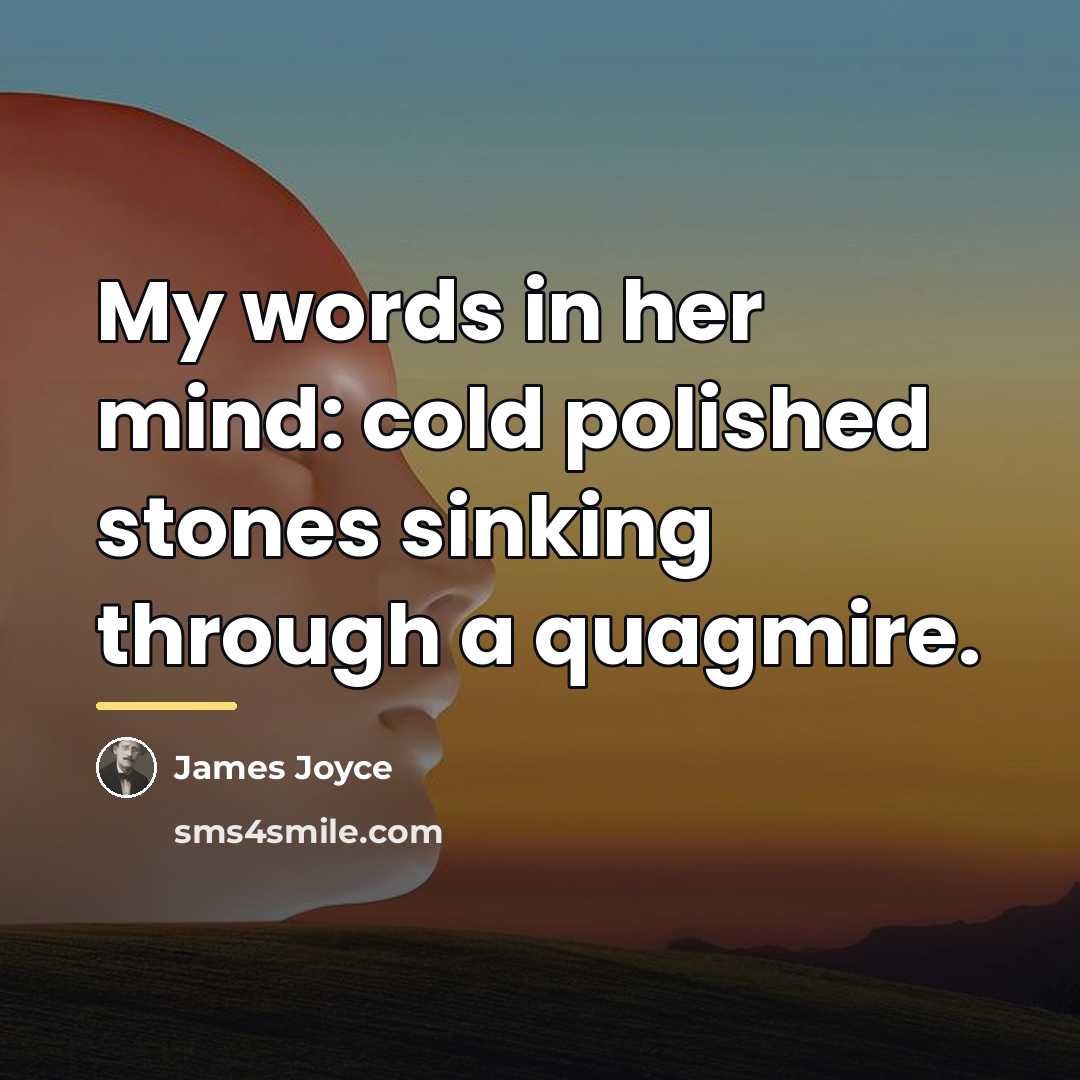 “My words in her mind: cold polished stones sinking through…” quote by James Joyce