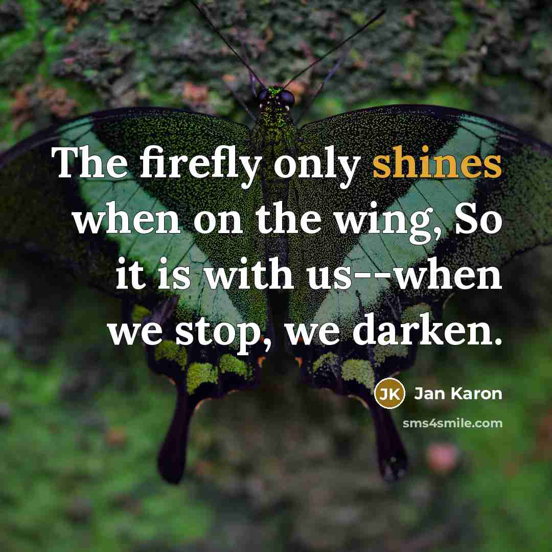 “The firefly only shines when on the wing, So it is with us--when we stop, we darken.” quote by Jan Karon