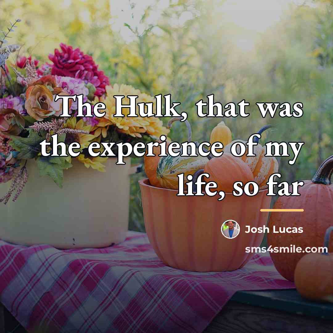 “The Hulk, that was the experience of my life, so…” quote by Josh Lucas