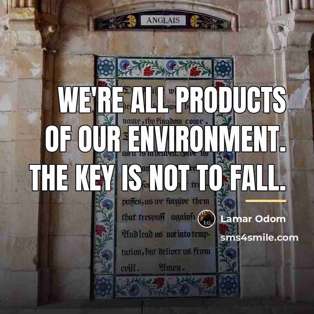 “We're all products of our environment. The key is not…” quote by Lamar Odom