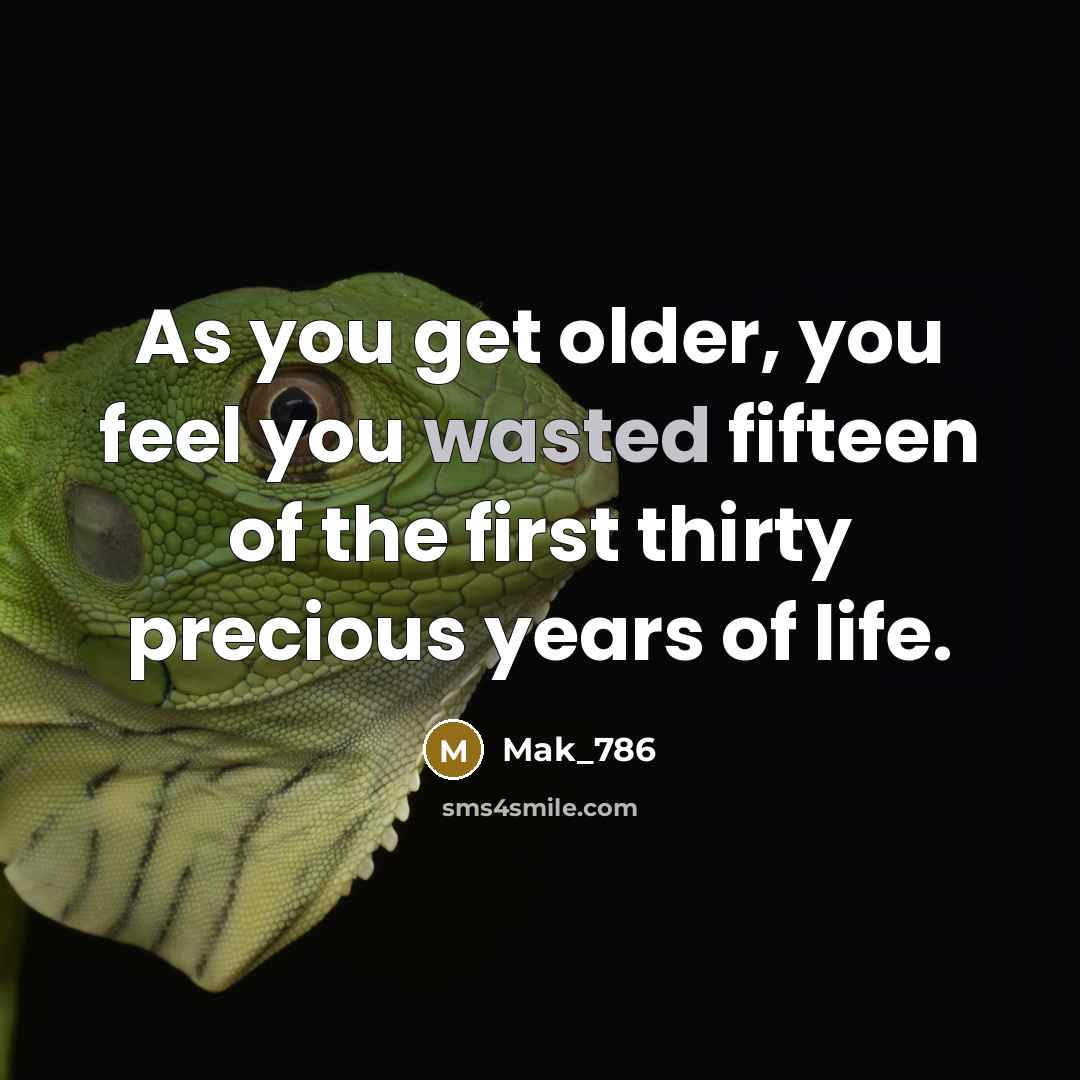 “As you get older, you feel you wasted fifteen of…” quote by Mak_786