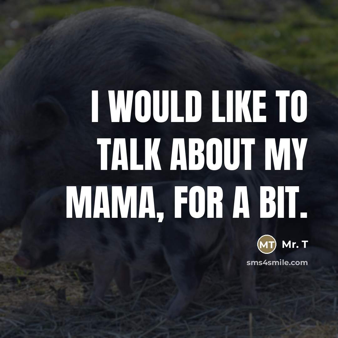 “I would like to talk about my Mama, for a…” quote by Mr. T