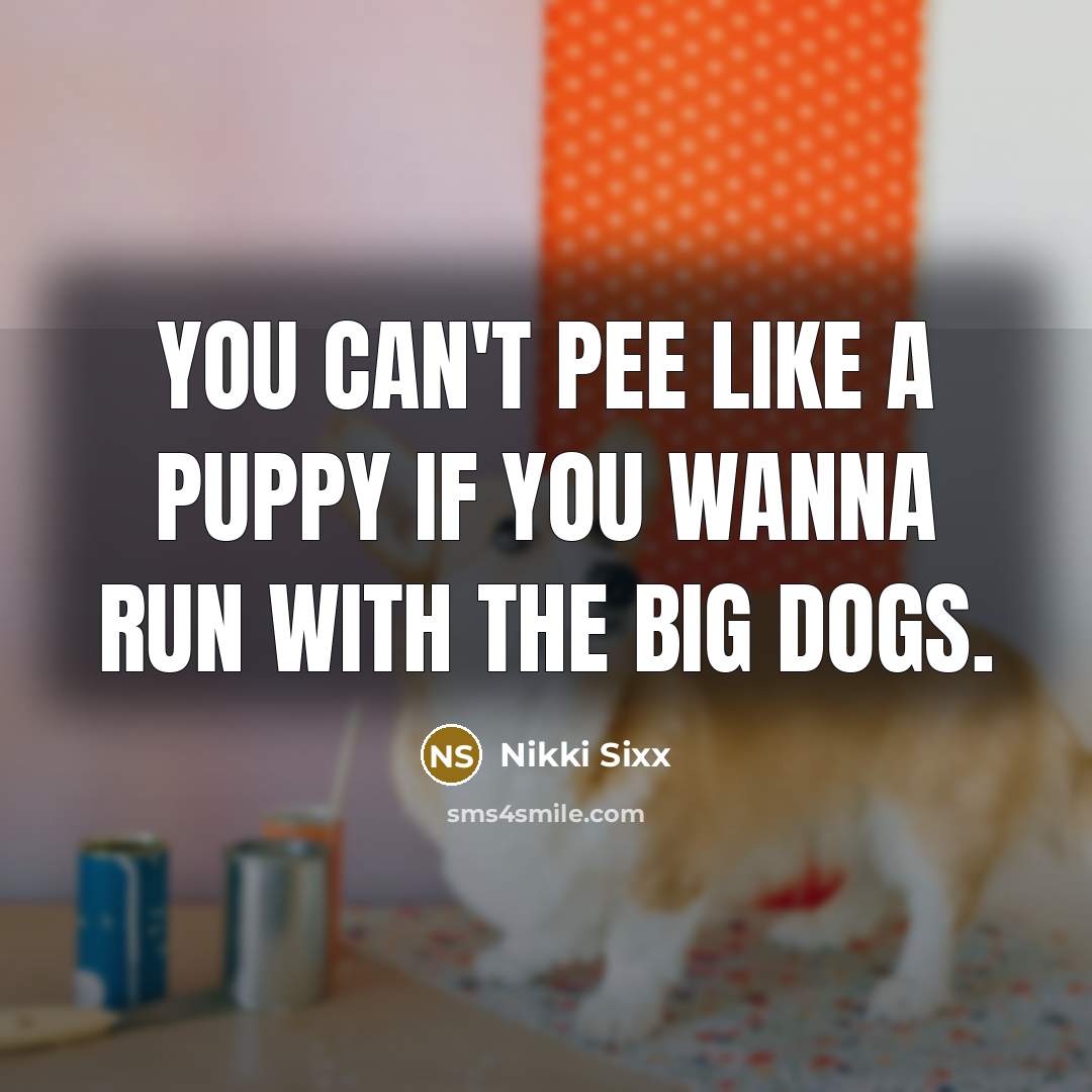 “You can't pee like a puppy if you wanna run…” quote by Nikki Sixx