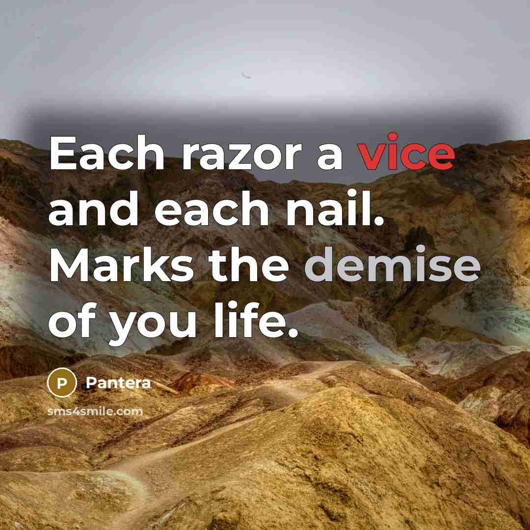 “Each razor a vice and each nail. Marks the demise of you life.” quote by Pantera