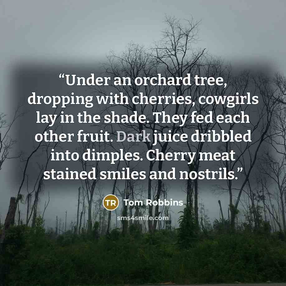 “Under an orchard tree, dropping with cherries, cowgirls lay in the shade. They fed each other fruit. Dark juice dribbled into dimples. Cherry meat stained smiles and nostrils.” quote by Tom Robbins