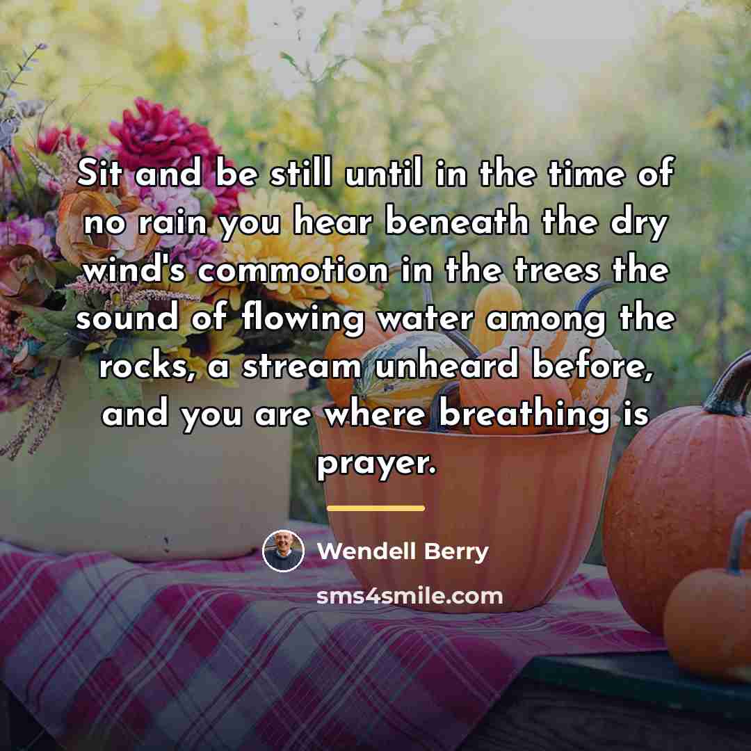 “Sit and be still until in the time of no…” quote by Wendell Berry