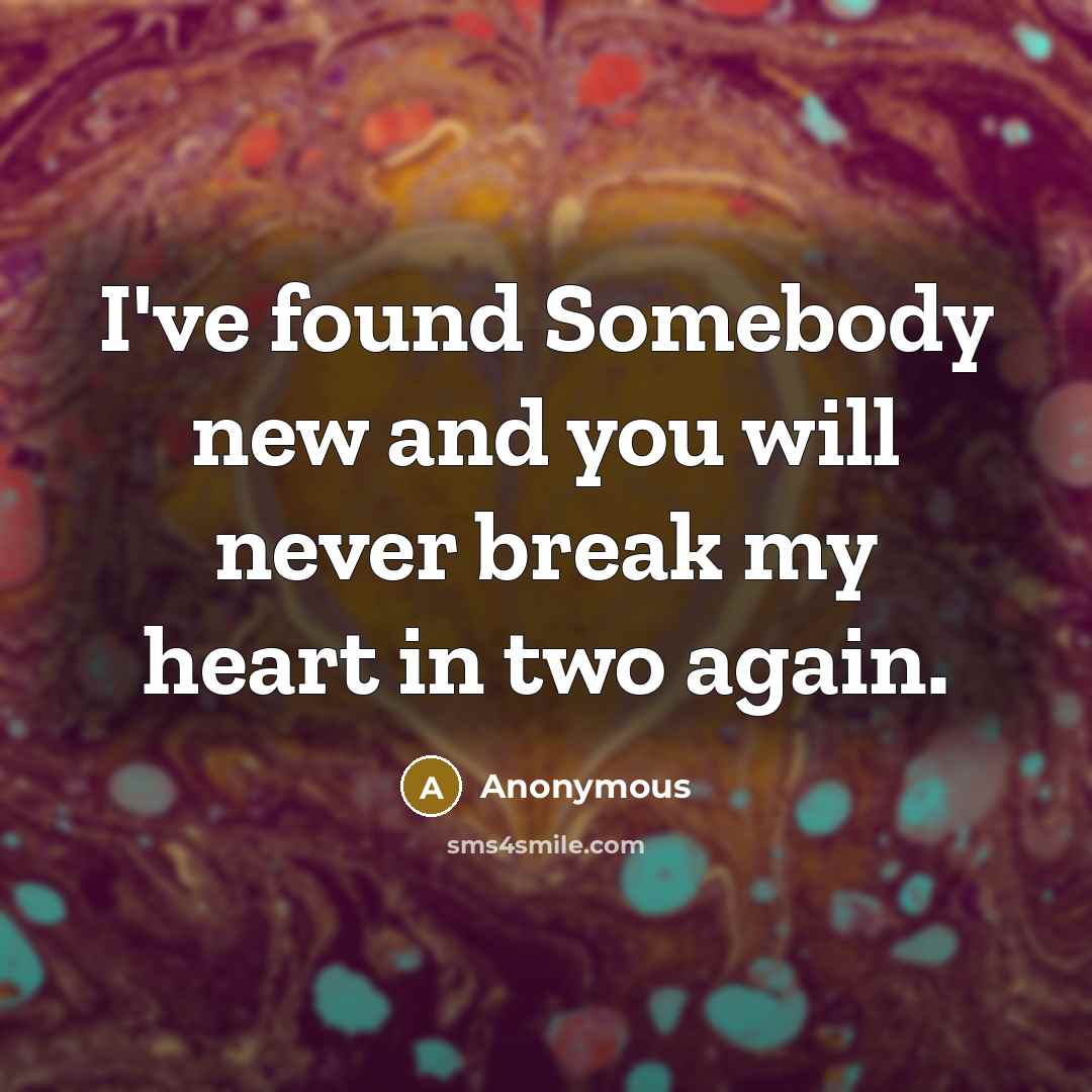 “I've found Somebody new and you will never break my heart in two again.” quote by Anonymous