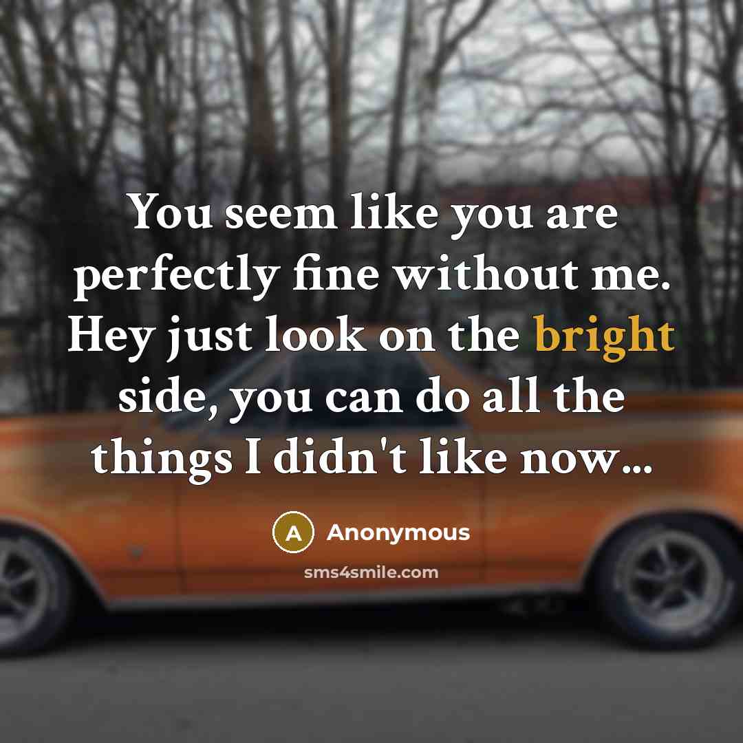 “You seem like you are perfectly fine without me. Hey…” quote by Anonymous