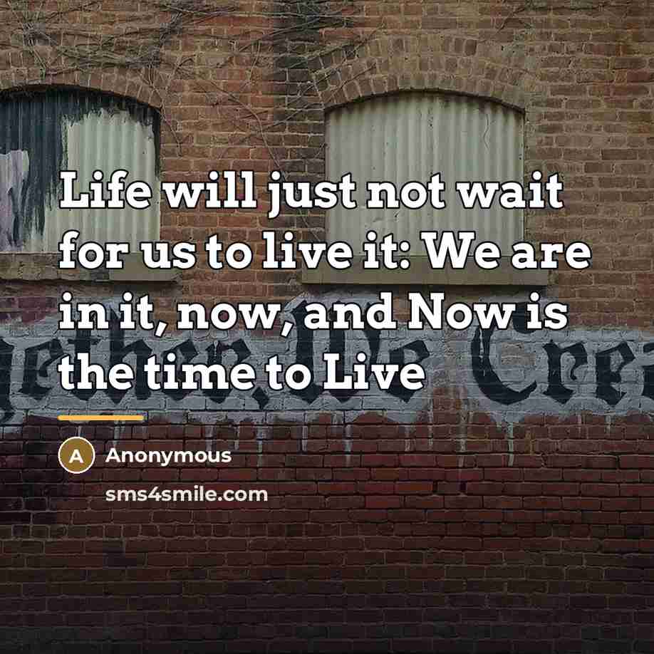 “Life will just not wait for us to live it:…” quote by Anonymous