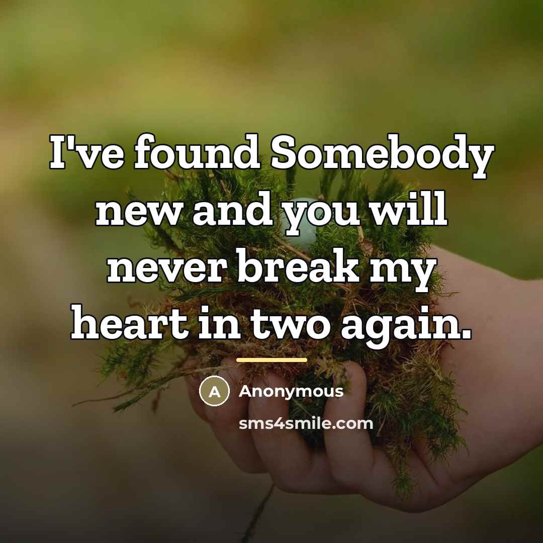 “I've found Somebody new and you will never break my…” quote by Anonymous