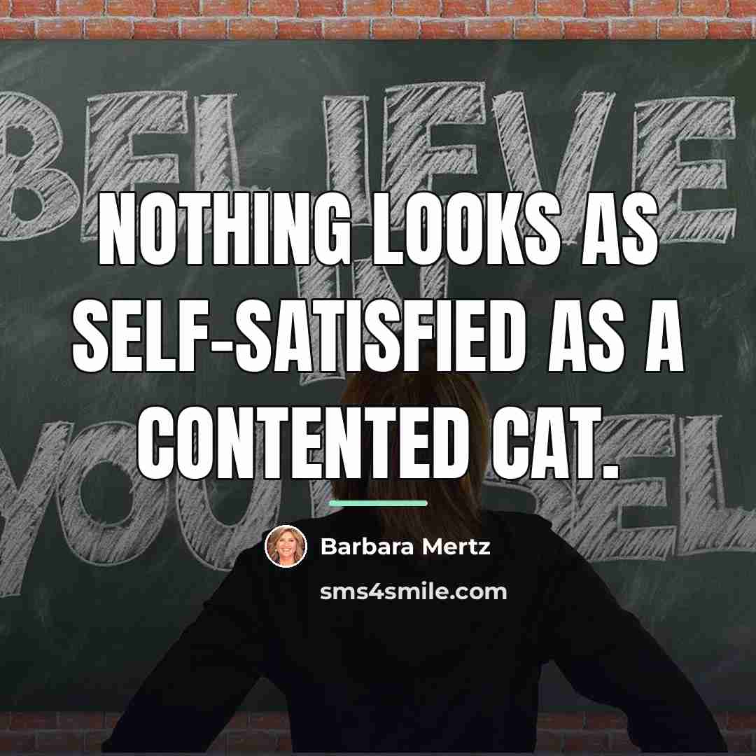 “Nothing looks as self-satisfied as a contented cat.…” quote by Barbara Mertz