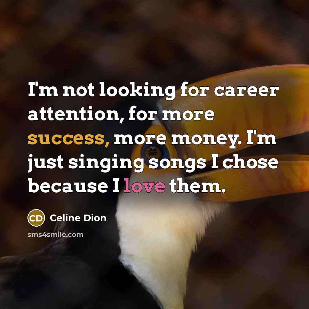 “I'm not looking for career attention, for more success, more…” quote by Celine Dion