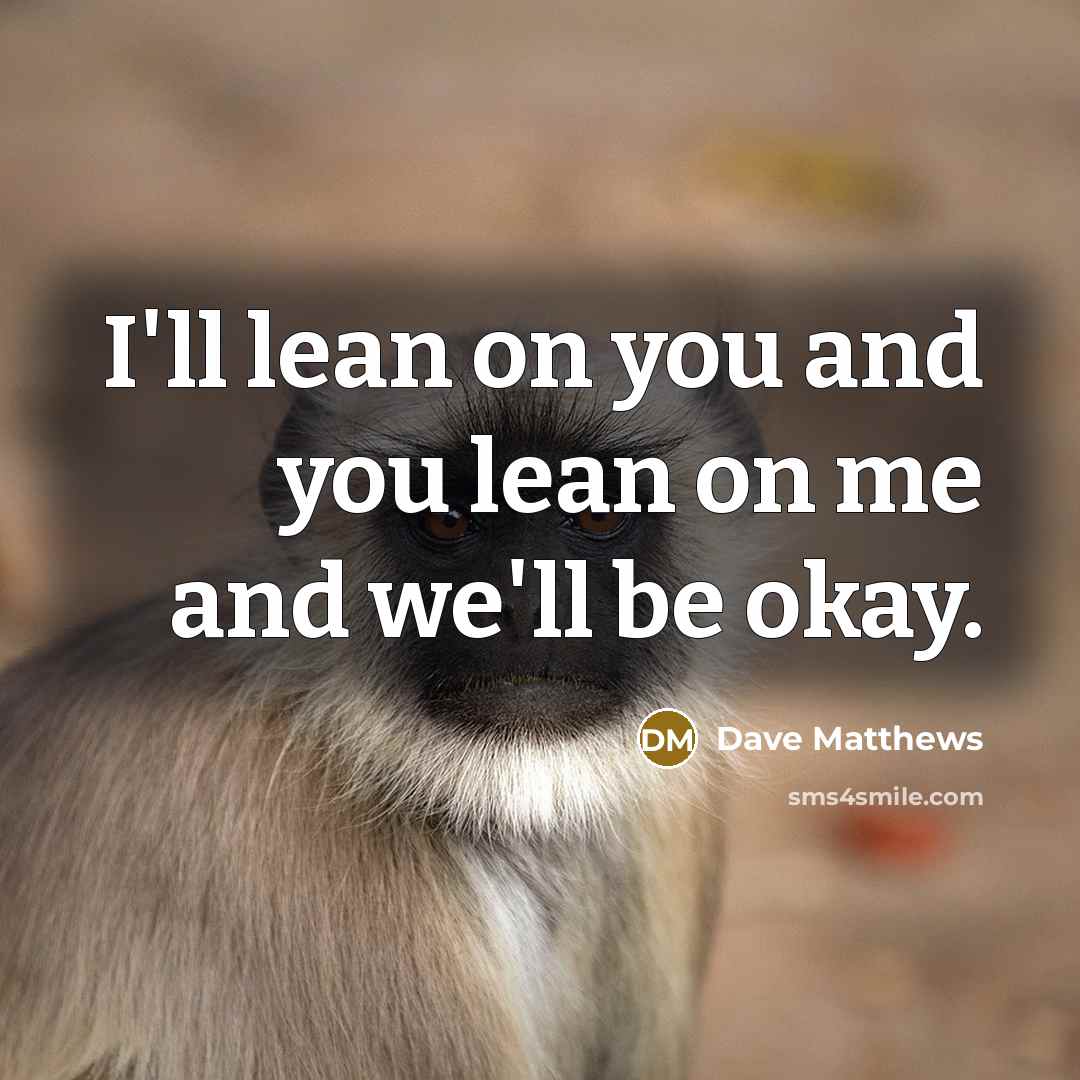 “I'll lean on you and you lean on me and we'll be okay.” quote by Dave Matthews