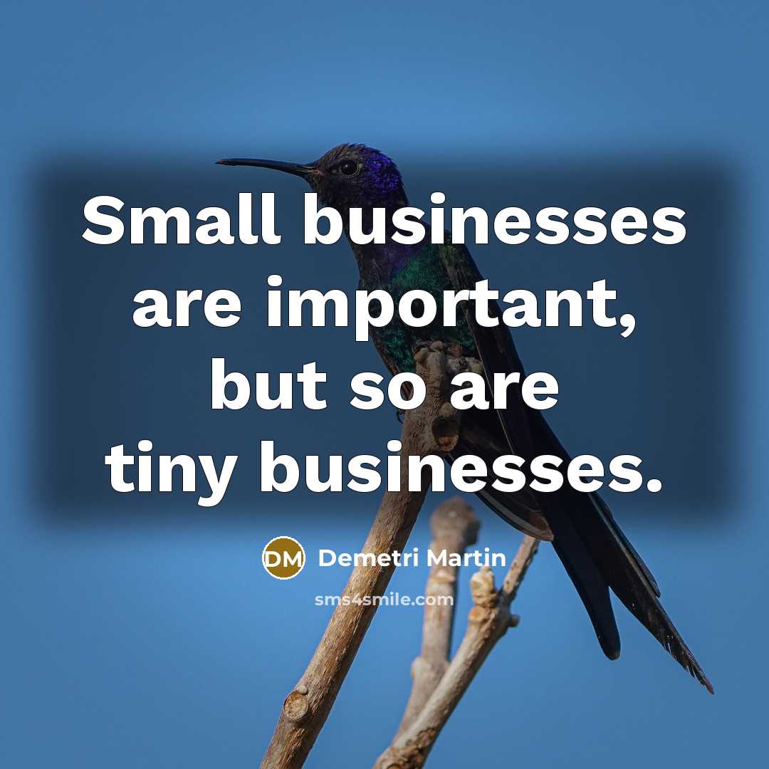 “Small businesses are important, but so are tiny businesses.…” quote by Demetri Martin